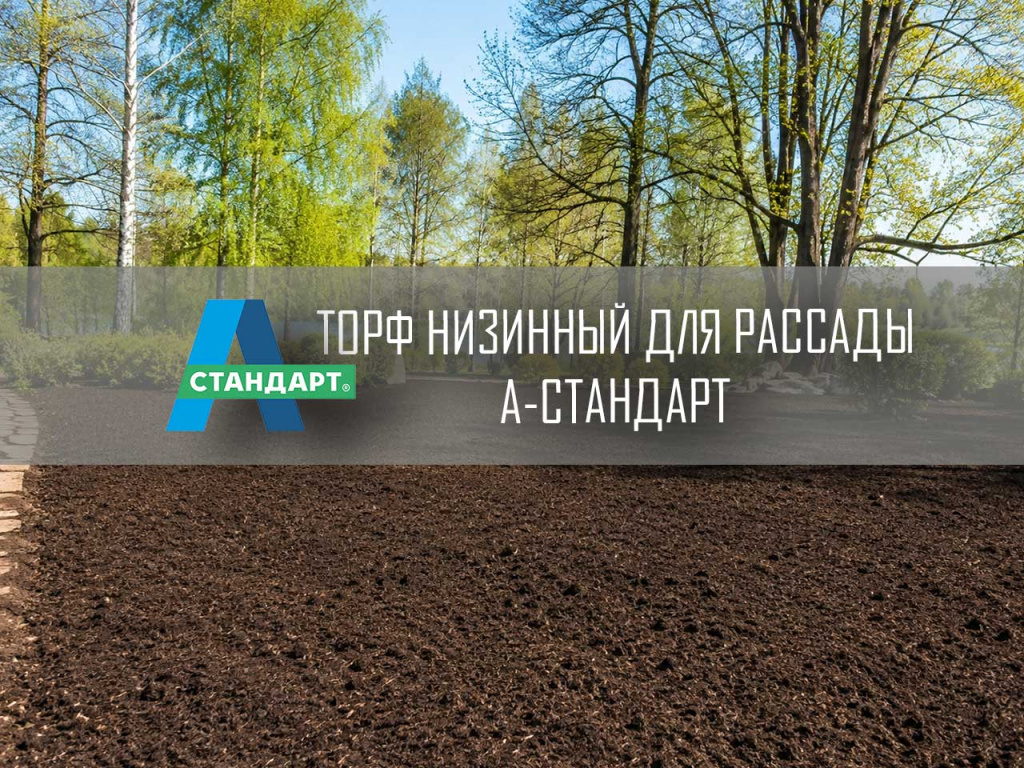 Торф низинный для рассады.