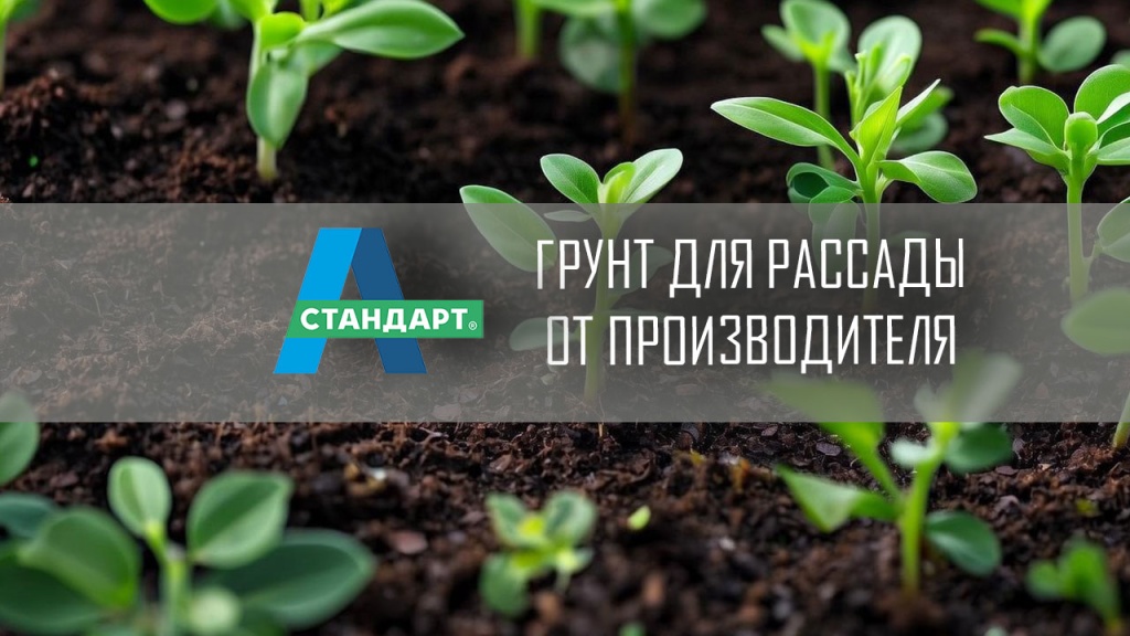 Грунт для рассады