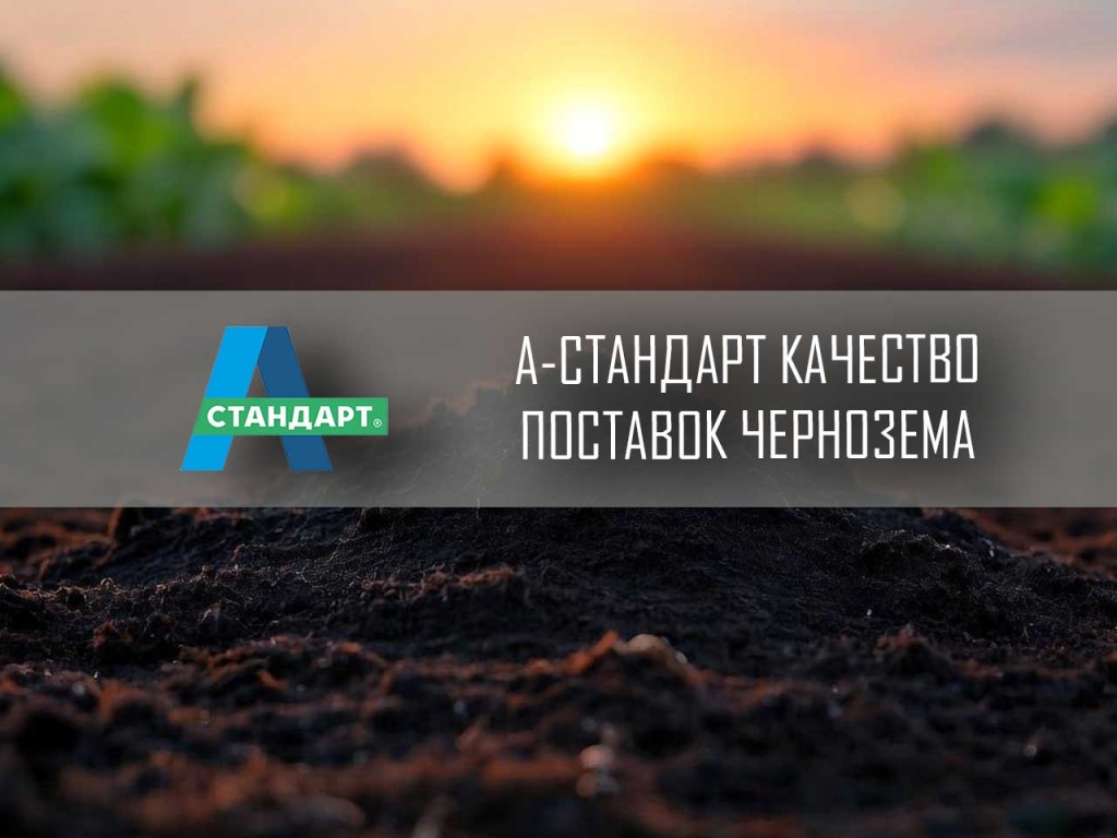 Чернозем в поле при аграрных работах