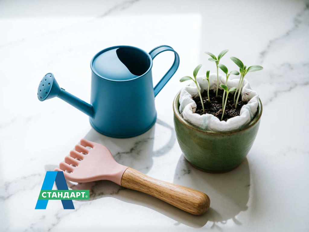 Уход за посаженным газоном.