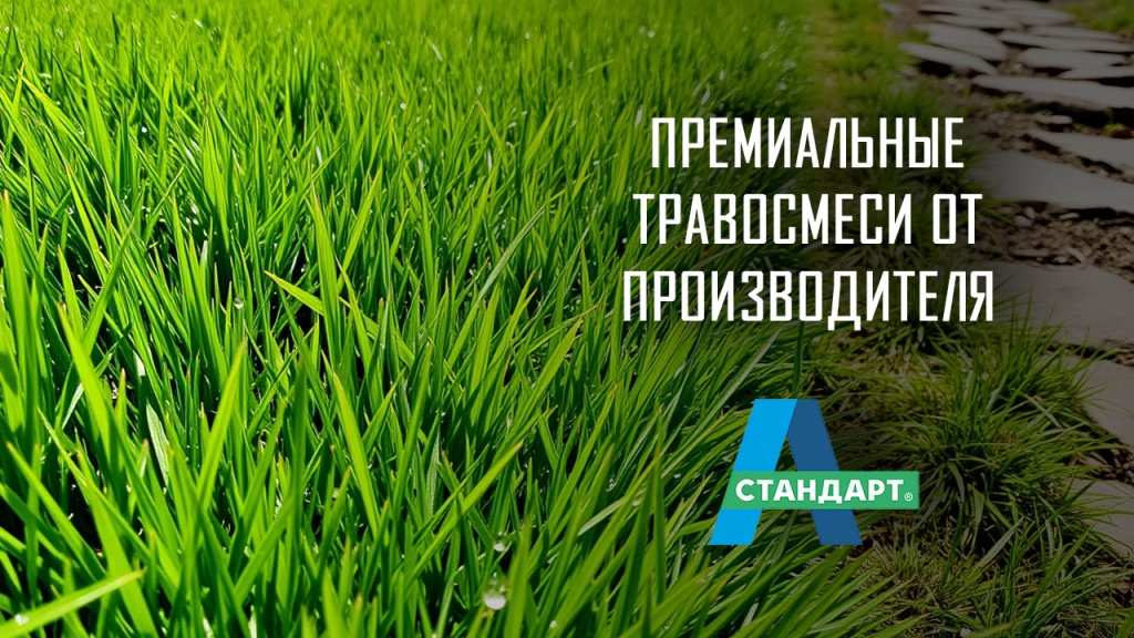 Посевной газон на участке
