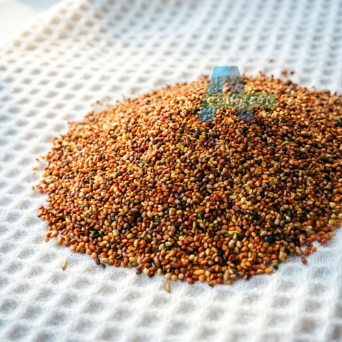 Семена клевера А-Стандарт Красный (Трио), 20 кг в белом мешке фото 3