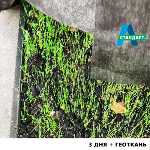 Семена газона: Травосмесь "А-Стандарт Откос" фото 11