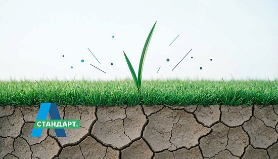 7 шагов по выбору грунта под газон