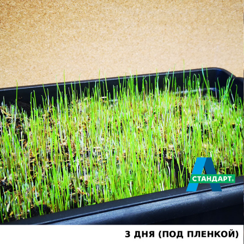 Семена газона А-Стандарт Универсальный, 20 кг в белом мешке фото 7