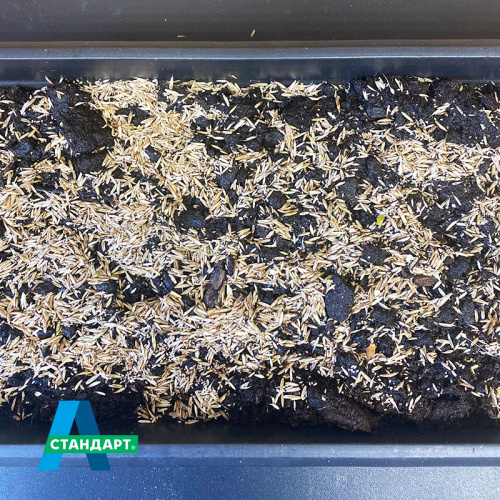 Семена газона А-Стандарт Универсальный, 20 кг в белом мешке фото 3